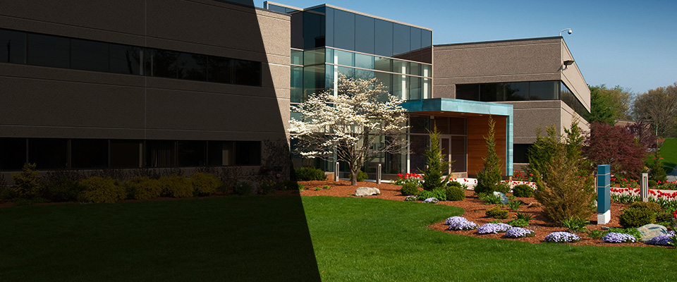 North Aurora Landscapers