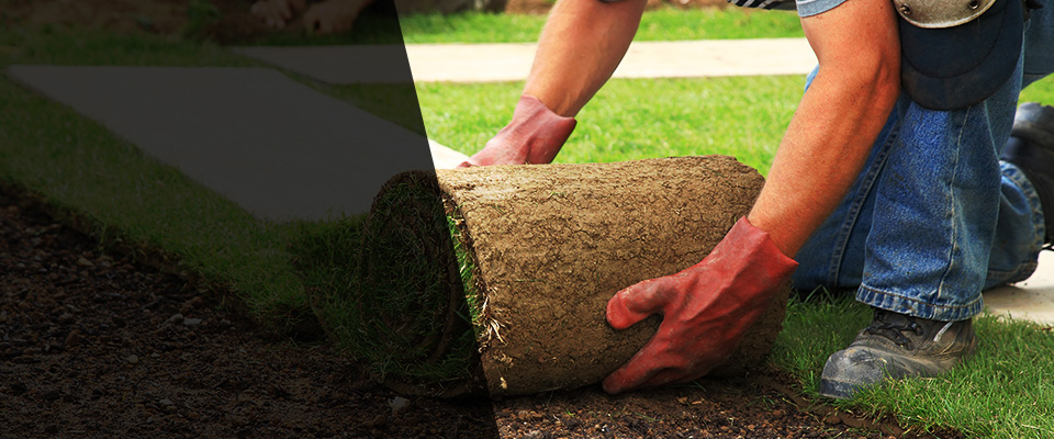 North Aurora Landscapers